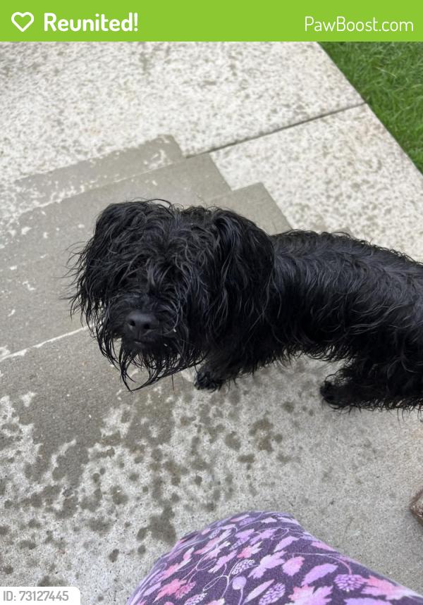 Reunited Male Dog last seen Grass Creek CT, Murfreesboro, TN 37127