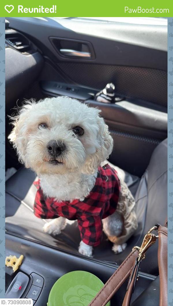 Reunited Male Dog last seen Helmont place and Fenwood ave, Oxon Hill, MD 20745