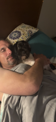 Lost Male Dog last seen yockey st and garden grove, Garden Grove, CA 92844