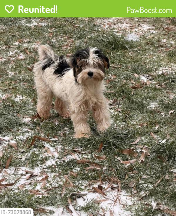 Reunited Female Dog last seen Mcfadden st by big brand tires, Rock Hill, SC 29730