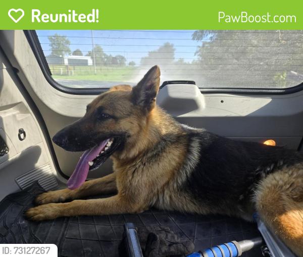 Reunited Male Dog last seen 85th ave by south river, Warren County, IA 50125