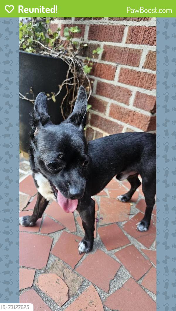 Reunited Male Dog last seen S Lee St and 6th, Gastonia, NC 28052