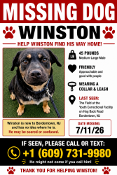 Reunited Male Dog last seen Hogback Rd, Burlington County, NJ 08620