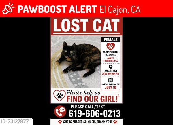 Lost Female Cat last seen Dryden Rd. and Witherspoon Way, El Cajon, CA 92020