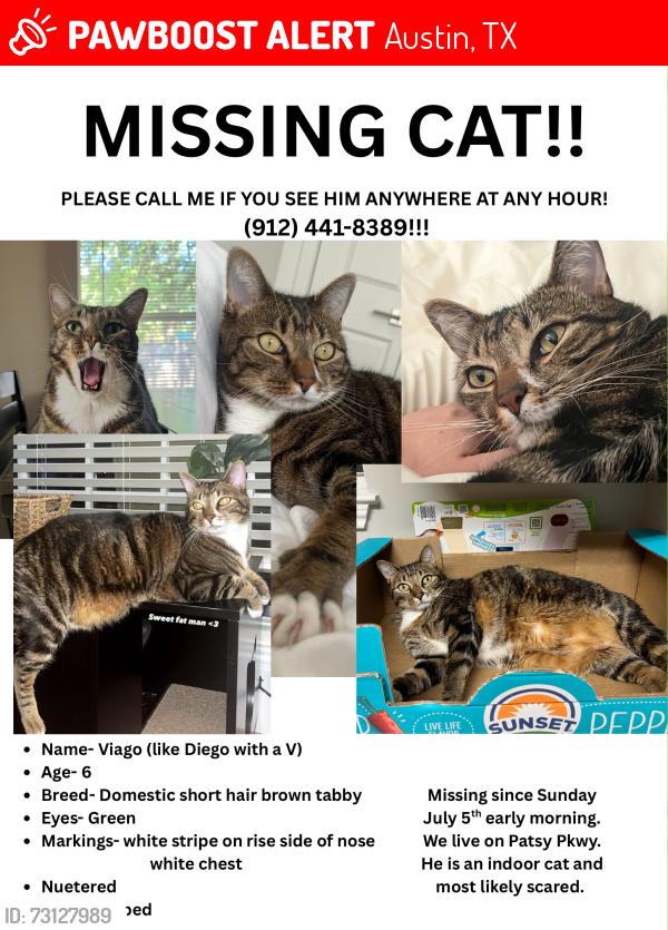 Lost Male Cat last seen Stoneleigh Place, Austin, TX 78744