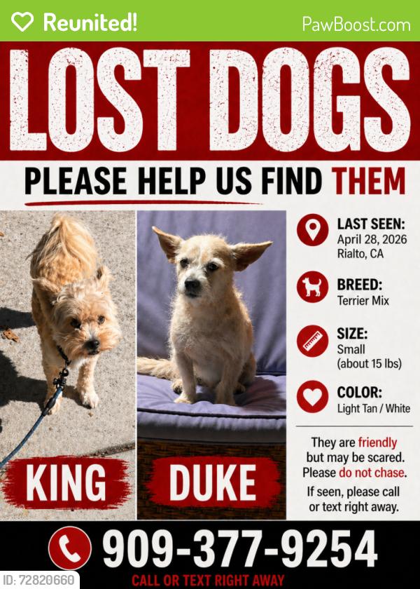Reunited Male Dog last seen Einshower School, Rialto, CA 92376