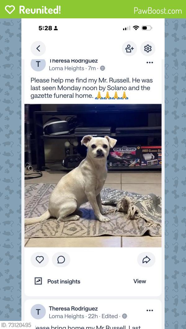 Reunited Male Dog last seen Salano, Las Cruces, NM 88001