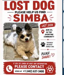 Lost Male Dog last seen Near venedita blvd, Coachella, CA 92236