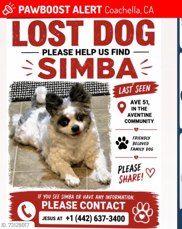 Lost Male Dog last seen Near venedita blvd, Coachella, CA 92236