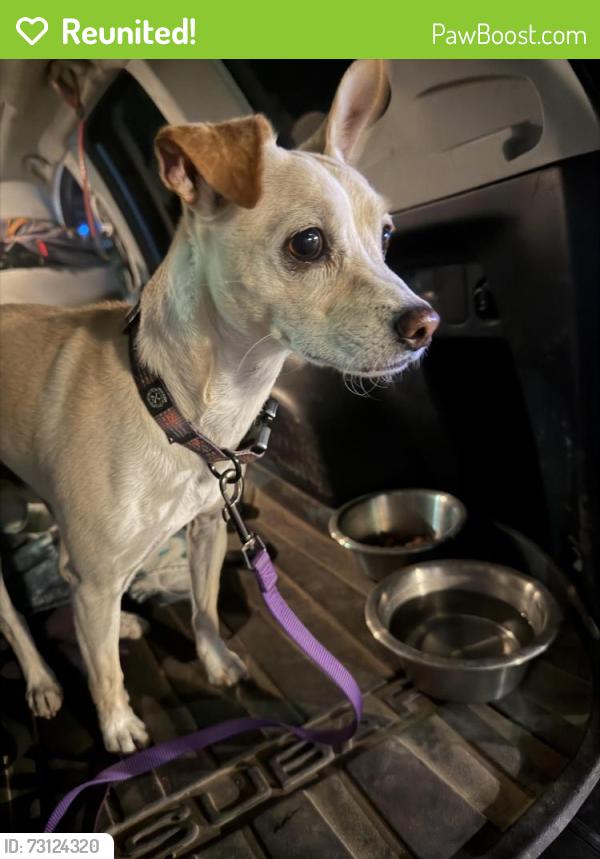 Reunited Unknown Dog last seen Unser and James Wall Road, Rio Rancho, NM 87144