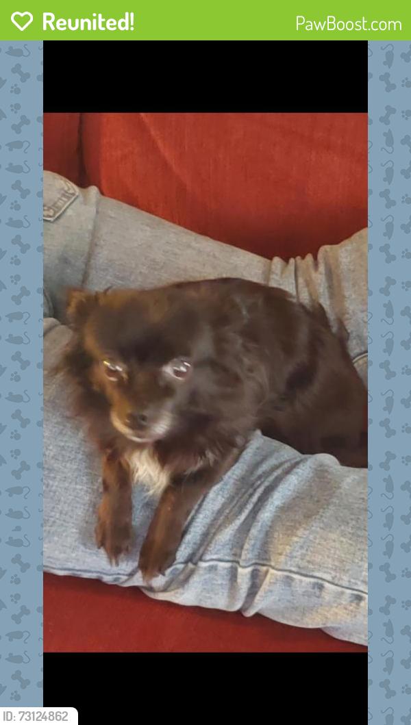 Reunited Female Dog last seen 30th and Tyler, Minneapolis, MN 55418