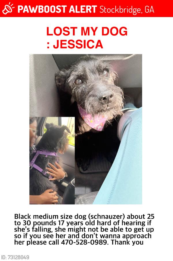 Lost Female Dog last seen Stockbridge auto spa, Stockbridge, GA 30281