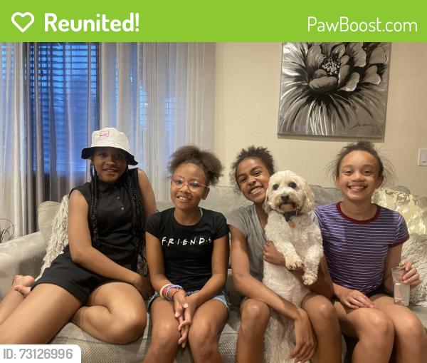 Reunited Male Dog last seen Calvarese Farms: marjoram drive, Bear, DE 19701