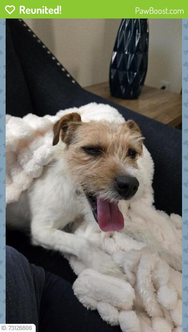 Reunited Male Dog last seen Leonard and Pontiac, Clovis, CA 93619