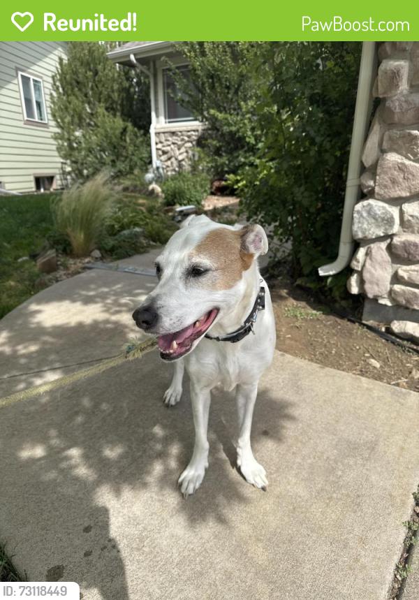 Reunited Female Dog last seen 67th Ave Greeley Co 80634, Greeley, CO 80634