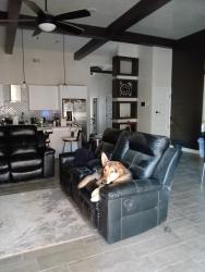 Reunited Male Dog last seen Justice, El Paso, TX 79938