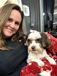 Reunited Female Dog last seen Shellmound market creative collision, Jasper, TN 37347