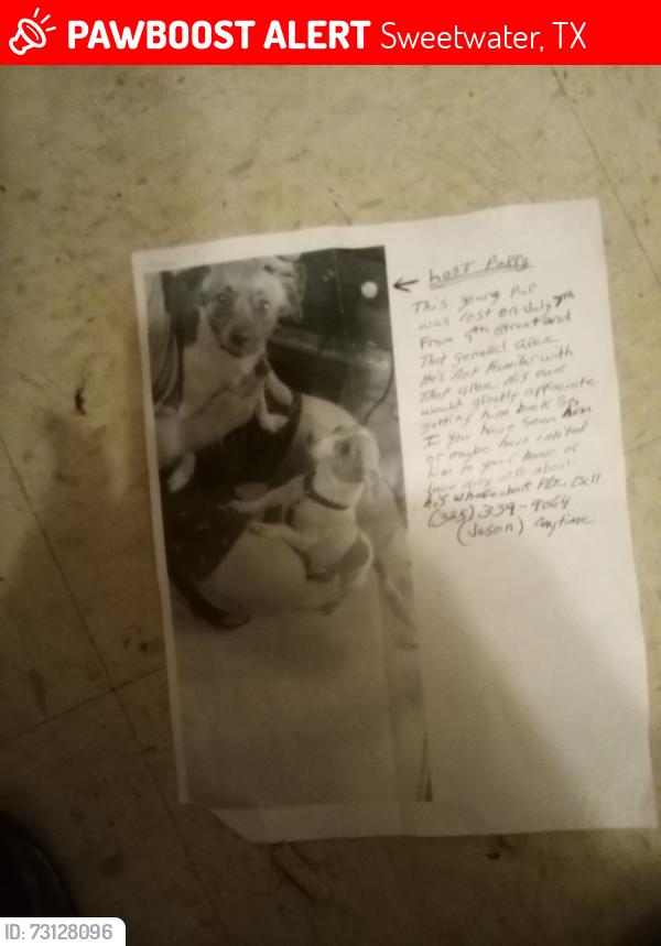 Lost Male Dog last seen Walnut, Sweetwater, TX 79556