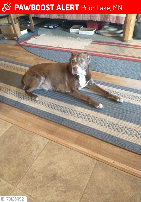 Lost Female Dog last seen Blind Lake Trail, Prior Lake, MN 55372