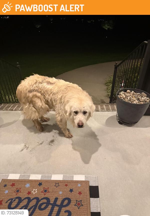 Found/Stray Unknown Dog last seen Bradley Creek Rd, Lascassas, Rutherford County, TN 37085