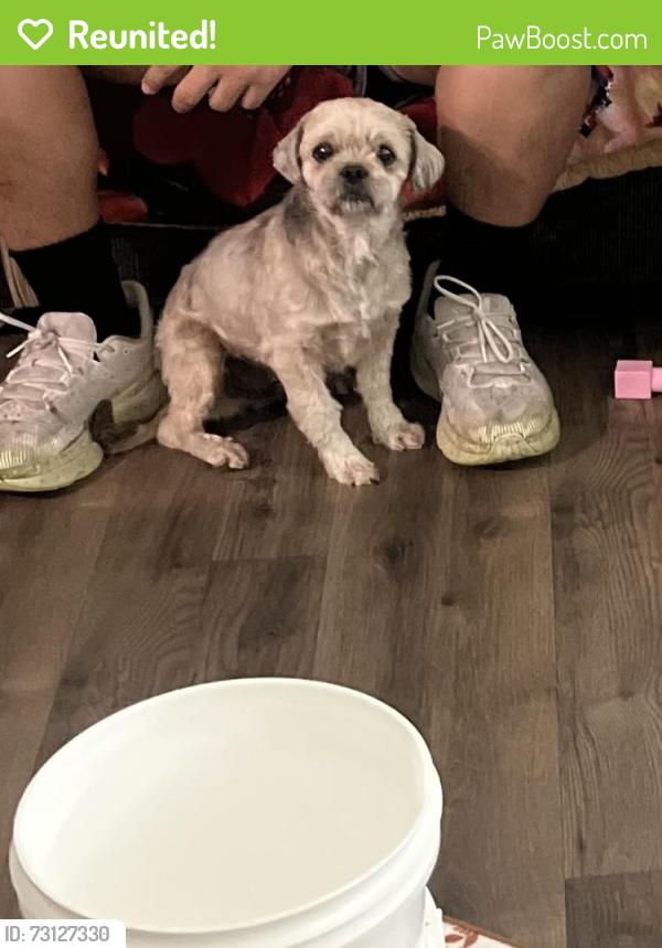Reunited Male Dog last seen Ruth Ann, Dallas, TX 75228