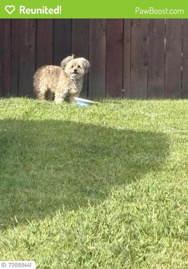Reunited Unknown Dog last seen Turquise, Corona, CA 92882