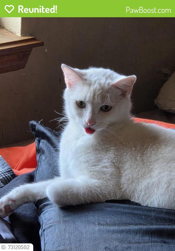 Reunited Male Cat last seen Reno & out west t rl, Yukon, OK 73099