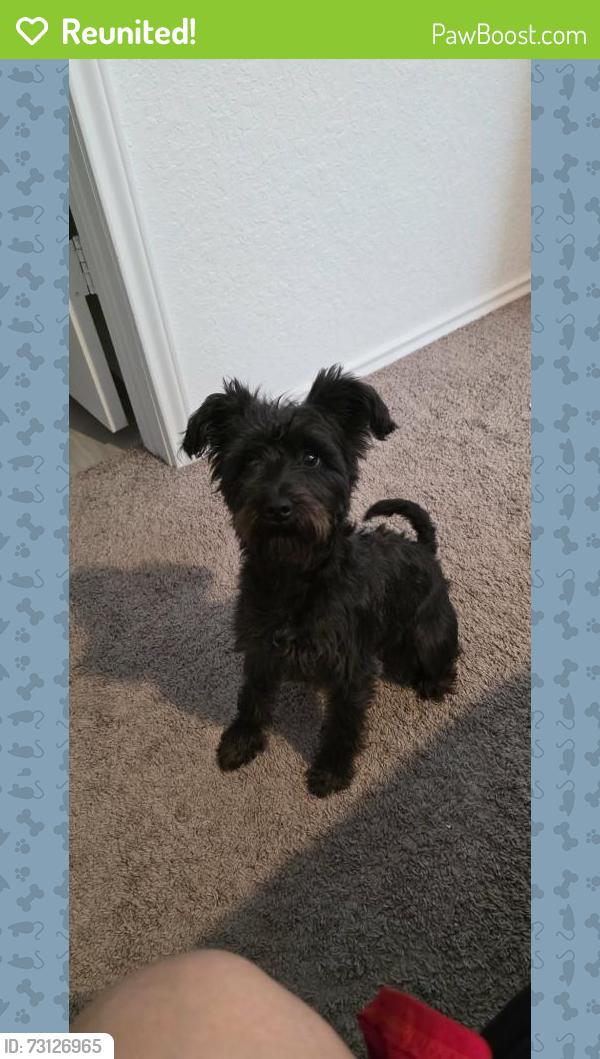 Reunited Female Dog last seen Kayden court and fisher place, Marion, TX 78124