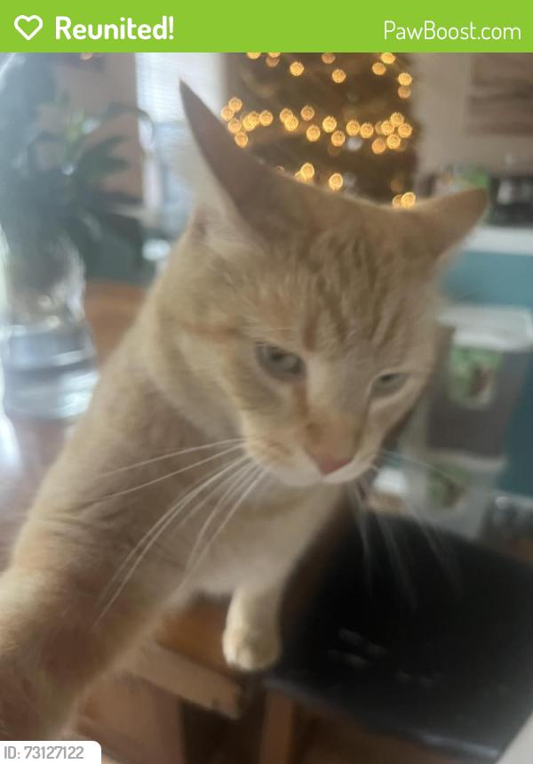 Reunited Male Cat last seen Needle ridge lane, Brownsburg, IN 46112