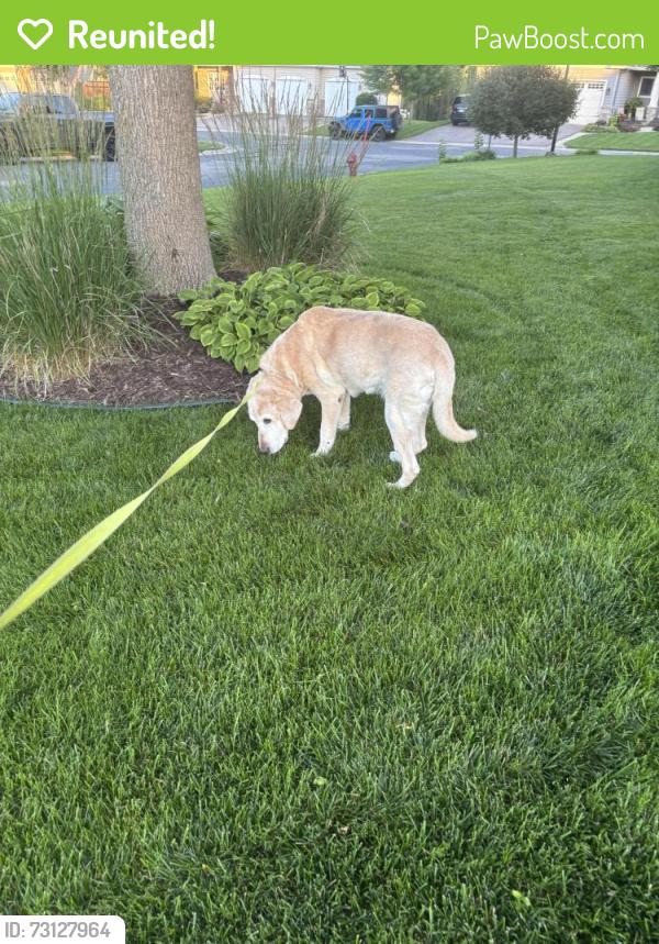 Reunited Male Dog last seen County road 10 and Waconia parkway, Waconia, MN 55387