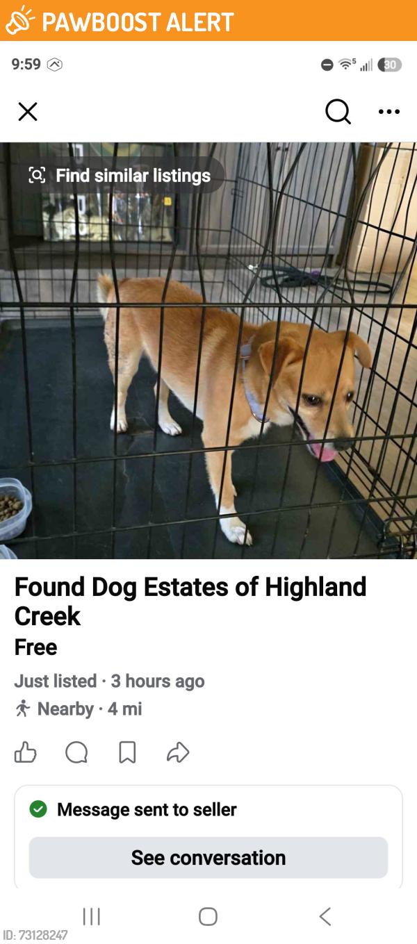 Found/Stray Unknown Dog last seen Highland Creek, Estates Of Highland Creek, TX 77449