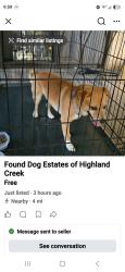 Found/Stray Unknown Dog last seen Highland Creek, Estates Of Highland Creek, TX 77449