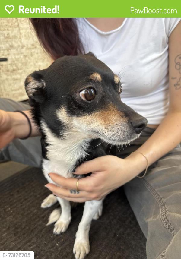 Reunited Male Dog last seen Marmalade District Salt Lake, Salt Lake City, UT 84103