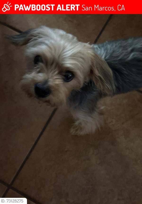 Lost Male Dog last seen tucson, San Marcos, CA 92078