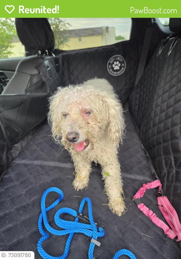 Reunited Male Dog last seen Intersection of Smith Road and Lewis ave, Bedford Township, MI 48182