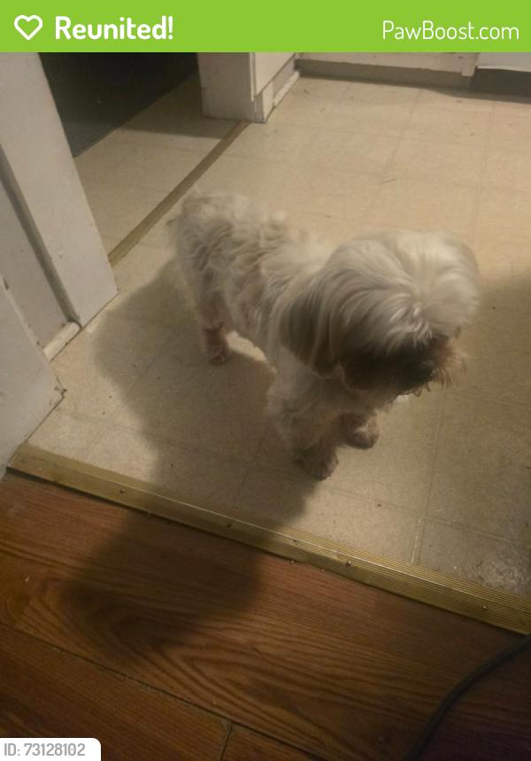 Reunited Male Dog last seen Near Chimney Rock Road, Hendersonville, NC 28792