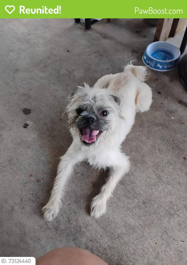 Reunited Male Dog last seen Waverly Ave & Adaes Ave, near Woodlawn Lake Park, San Antonio, TX 78201