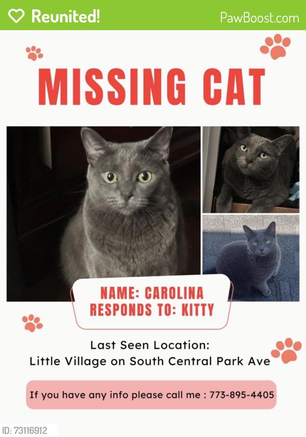 Reunited Female Cat last seen South Central Park Ave, Chicago, IL 60623