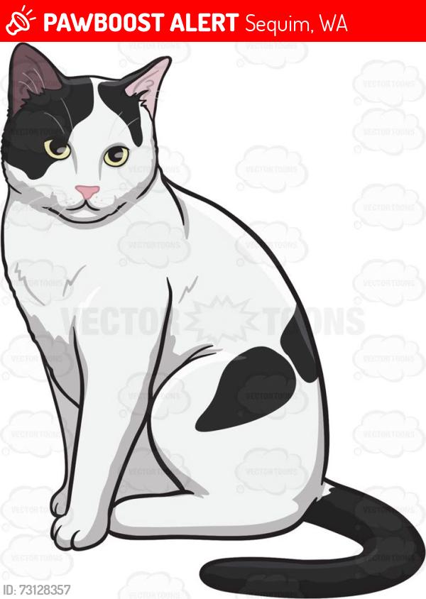 Lost Unknown Cat last seen Near Old Gardiner Rd, Sequim, WA 98382