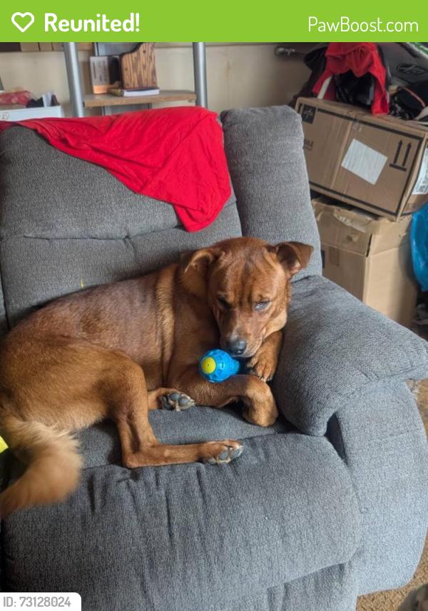Reunited Male Dog last seen Tecolote Canyon, San Diego, CA 92111