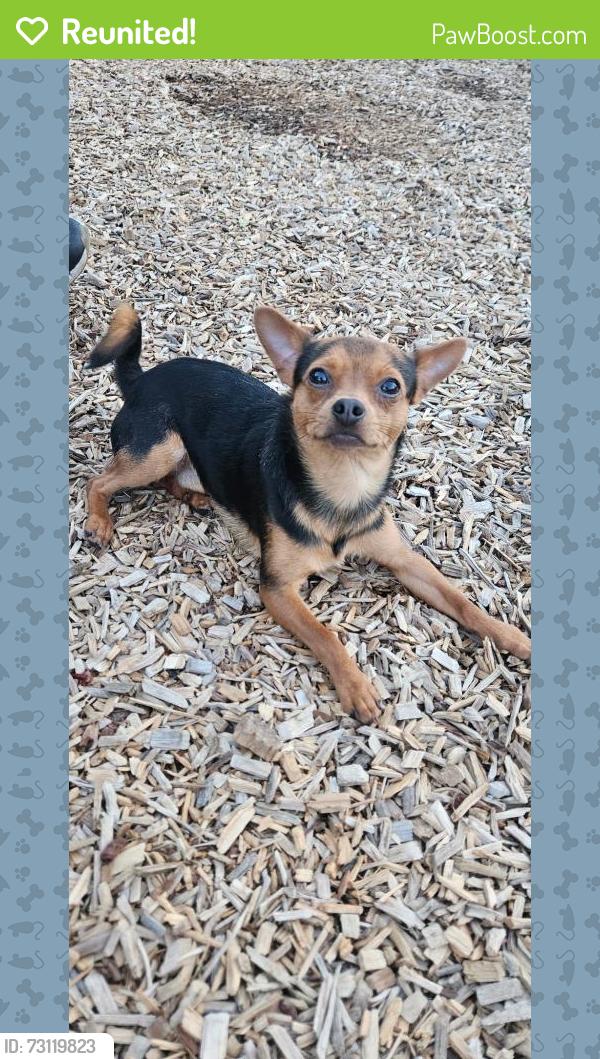 Reunited Male Dog last seen Bacarra lane apmt, Raleigh, NC 27606