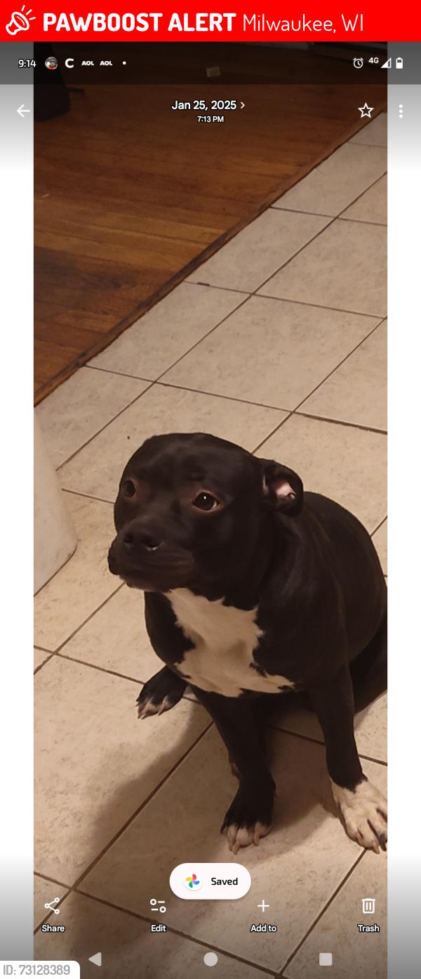 Lost Female Dog last seen 52nd and center, Milwaukee, WI 53210