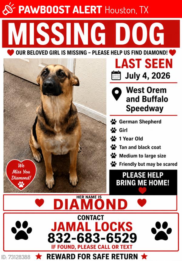 Lost Female Dog last seen Waterlow or Buffalo speedway, Houston, TX 77045