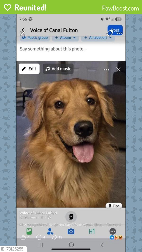 Reunited Male Dog last seen Waterside and colony, Canal Fulton, OH 44614