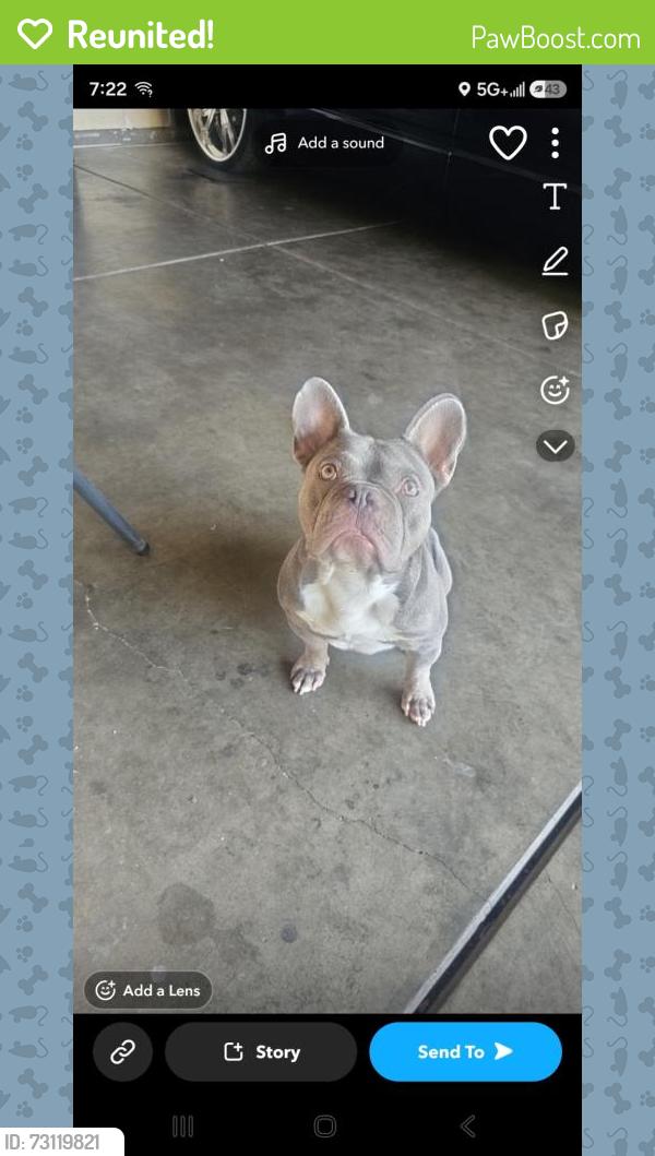 Reunited Male Dog last seen M street, Merced, CA 95341