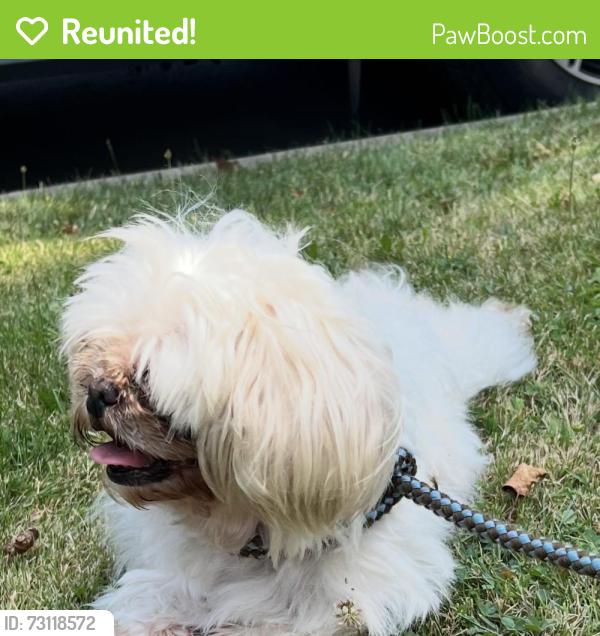 Reunited Unknown Dog last seen W85th between Lorain Rd & Madison, Cleveland, OH 44102