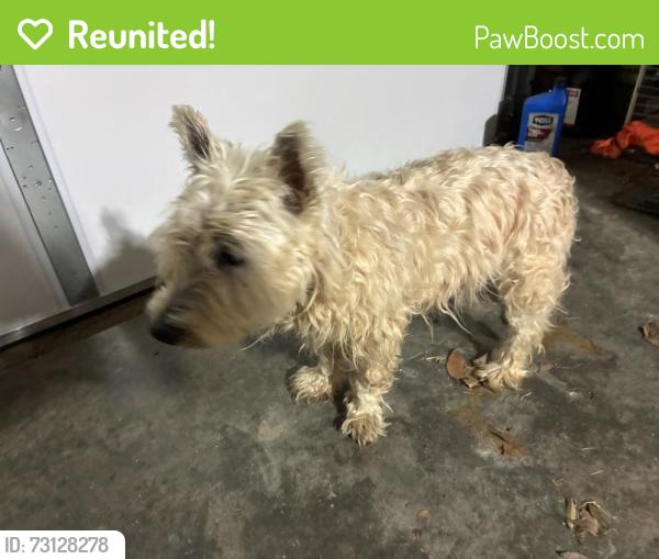 Reunited Unknown Dog last seen Woodberry Lake Drive, Greensboro, NC 27455