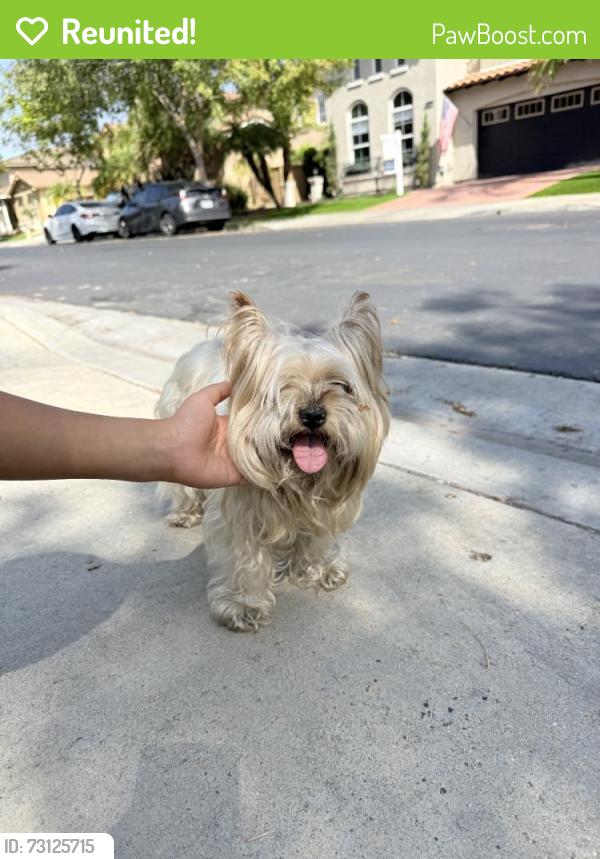 Reunited Male Dog last seen Meeks Bay Dr, Chula Vista, CA 91913, USA, Chula Vista, CA 91913
