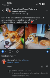 Lost Female Dog last seen Polk in Gettysburg, Fresno, CA 93722