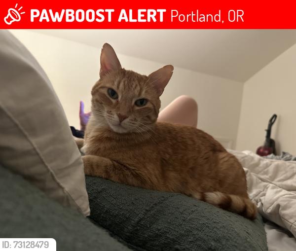 Lost Male Cat last seen S.E. 67th Avenue and Raymond!, Portland, OR 97206
